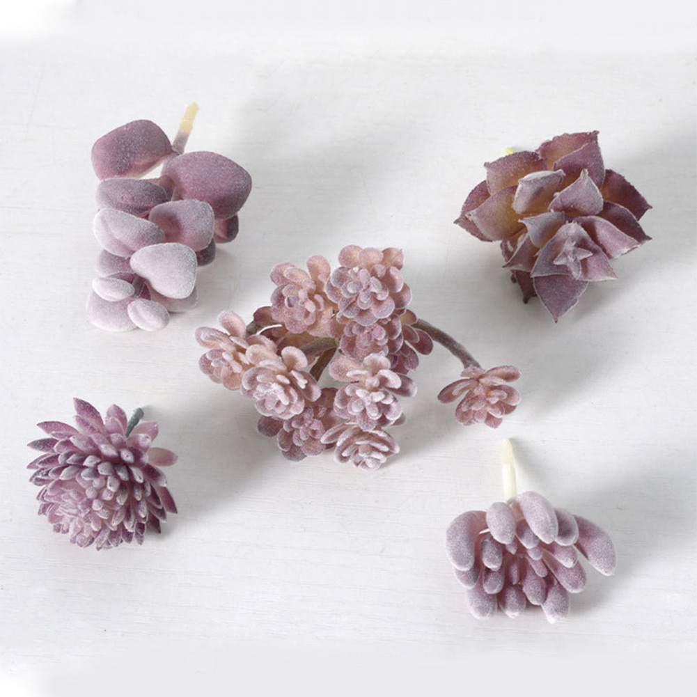 Succulent Arrangement Mini - Charming For Mini Bonsai Succulent Arrangement
