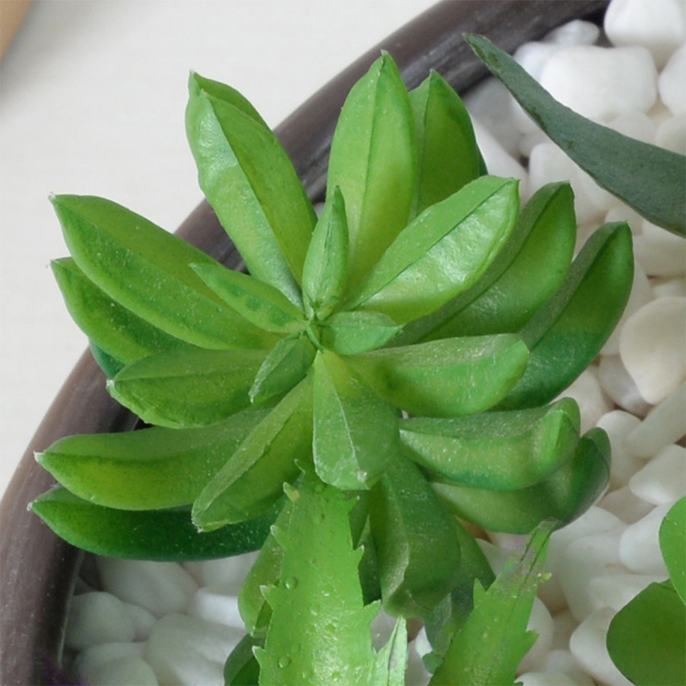 Succulent Arrangement Mini - Contemporary For Mini Bonsai Themed Artificial