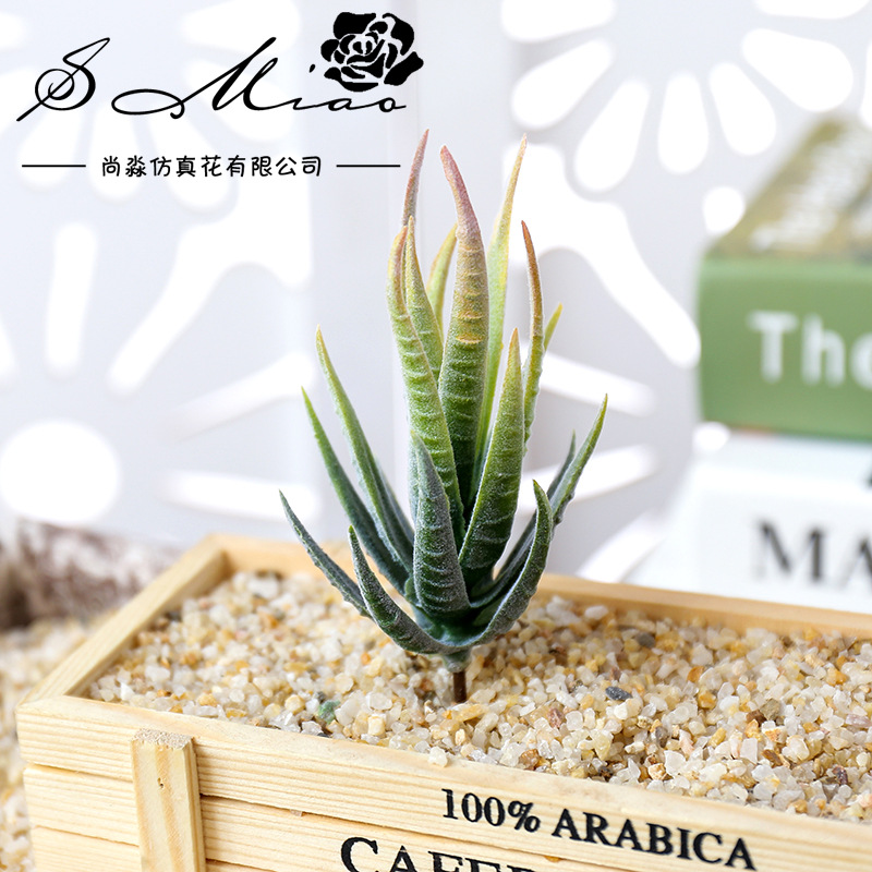 Succulent Arrangement Mini - Wusmart Ban Ma Lu Hui Artificial