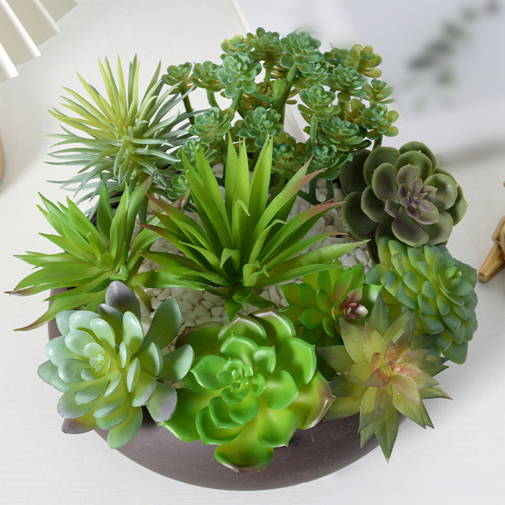 Artificial For Mini Bonsai Suc - огляд і ціна Succulent Arrangement Mini