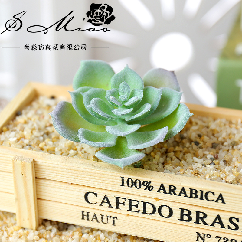 Wusmart Small Shui Lian Artifi - огляд і ціна Succulent Arrangement Mini