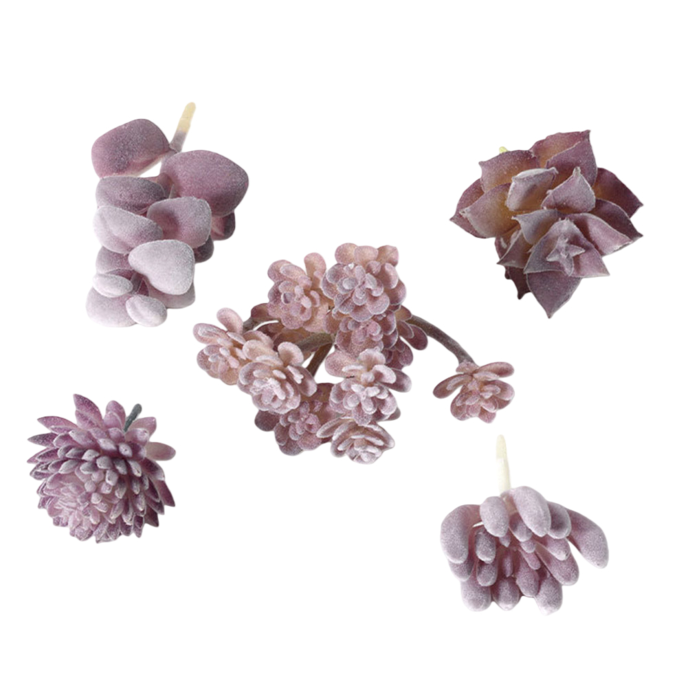 Plastic Based For Mini Bonsai  - огляд і ціна Succulent Arrangement Mini