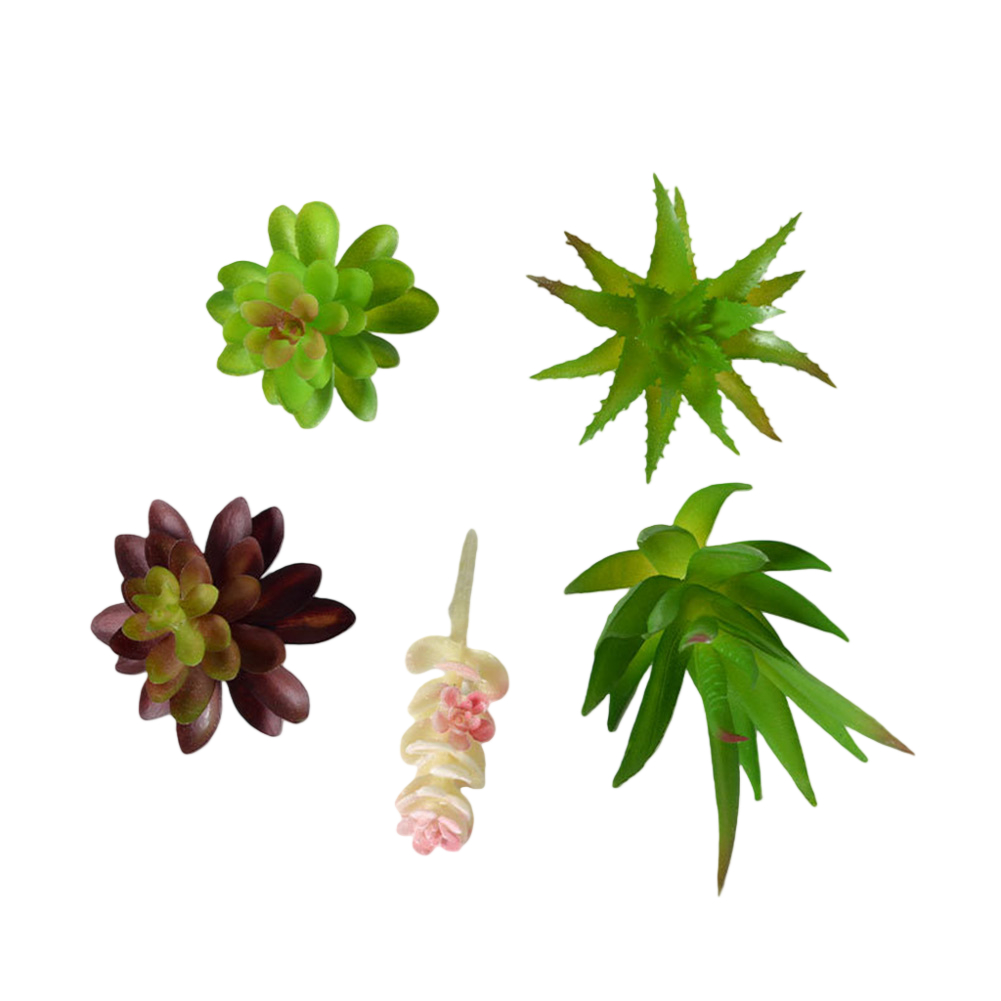 Plastic Based For Mini Bonsai  - огляд і ціна Succulent Arrangement Mini