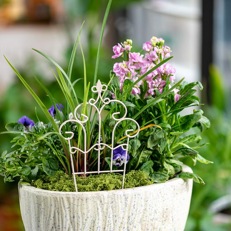 Whimsical Mini Iron FlowerPot  - огляд і ціна Succulent Arrangement Mini