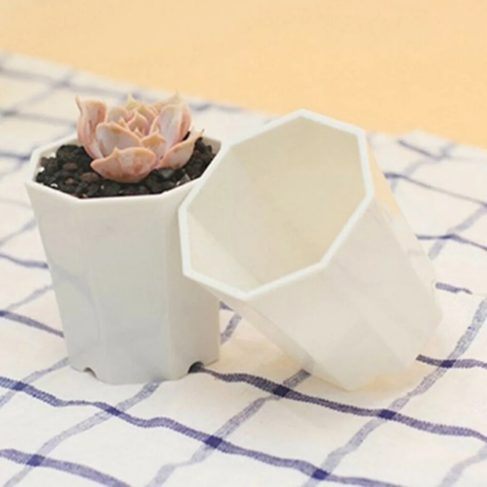 10pcs Plastic For Mini Flower  - огляд і ціна Succulent Arrangement Mini