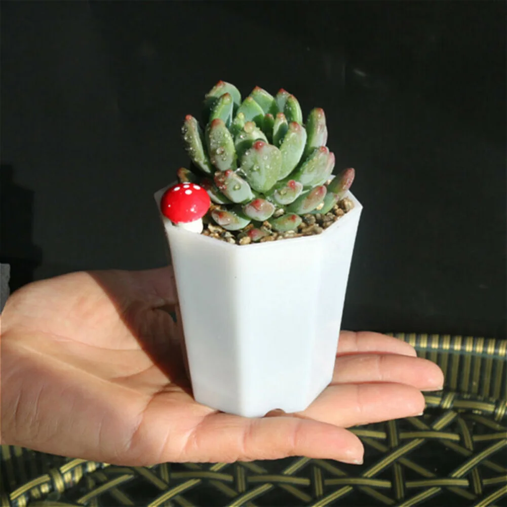 10pcs Plastic For Mini Flower  - огляд і ціна Succulent Arrangement Mini