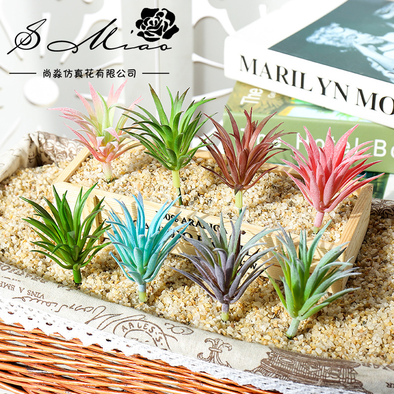 7.5x10cm Mini Ling Jiao Cao Ar - огляд і ціна Succulent Arrangement Mini
