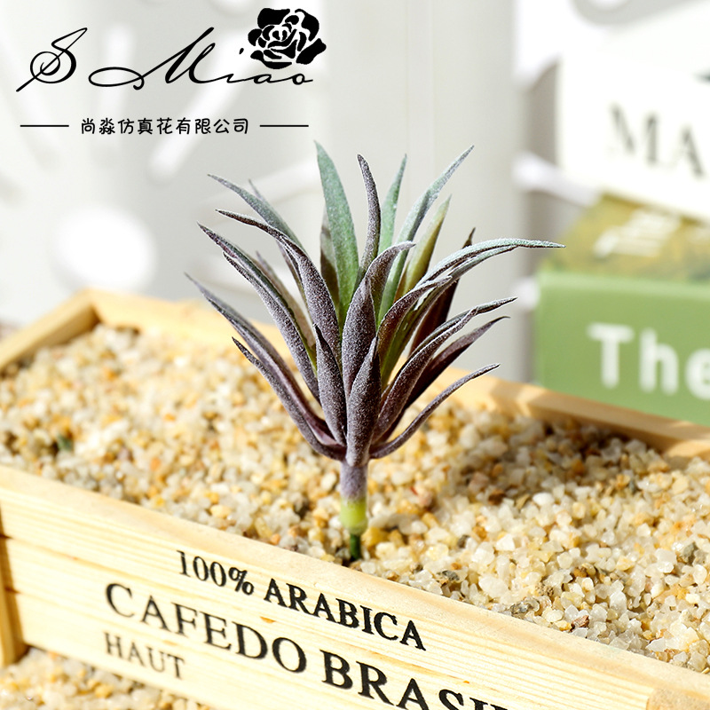 7.5x10cm Mini Ling Jiao Cao Ar - огляд і ціна Succulent Arrangement Mini