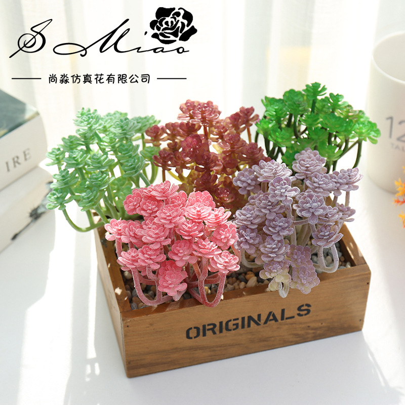 Wusmart Large Xian Ren Ke Arti - огляд і ціна Succulent Arrangement Mini