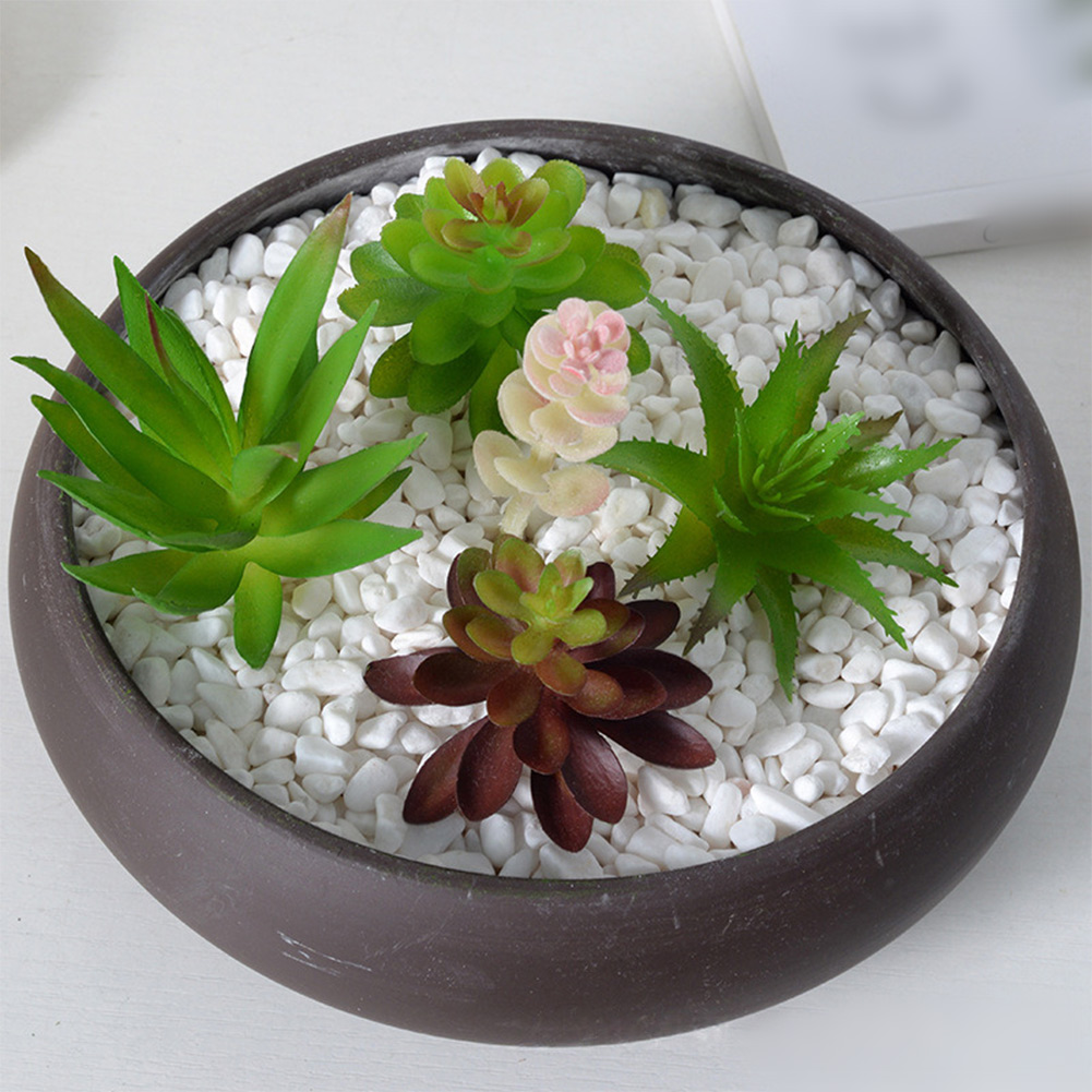 For Mini Bonsai Artificial Suc - огляд і ціна Succulent Arrangement Mini