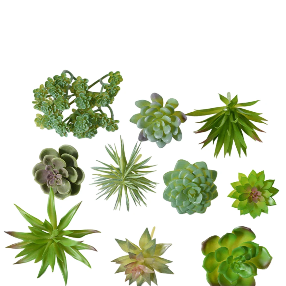 Charming For Mini Bonsai Succu - огляд і ціна Succulent Arrangement Mini