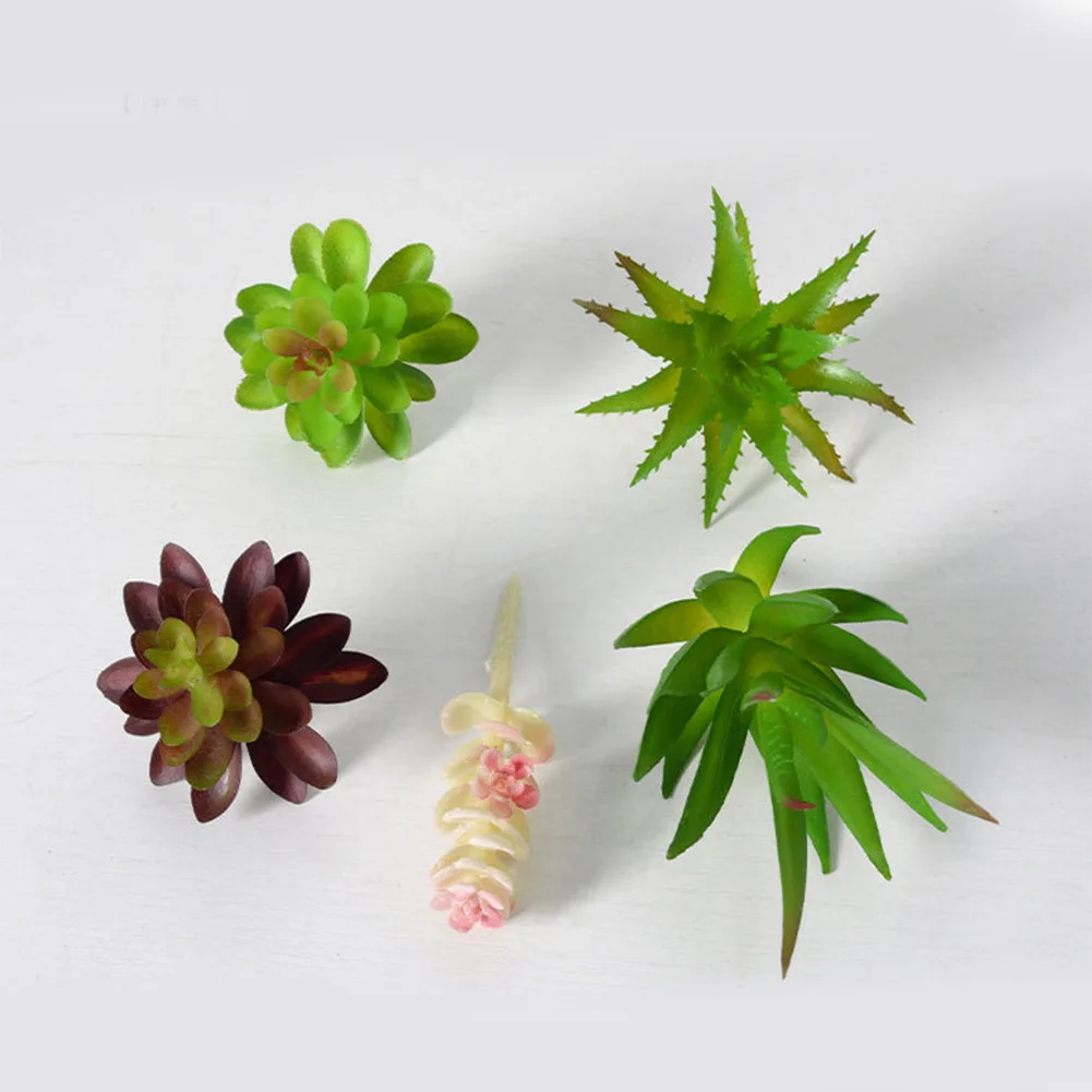 Charming For Mini Bonsai Succu - огляд і ціна Succulent Arrangement Mini