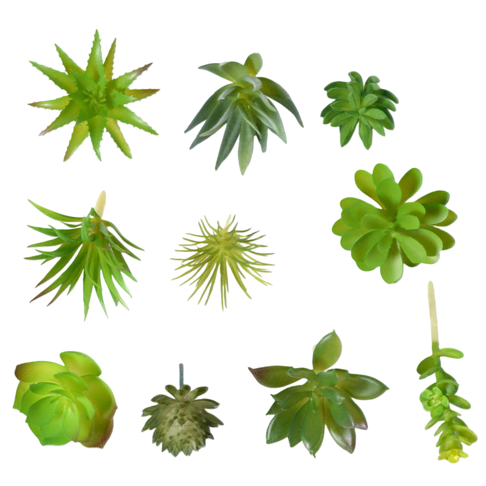 Photography Prop Friendly For  - огляд і ціна Succulent Arrangement Mini