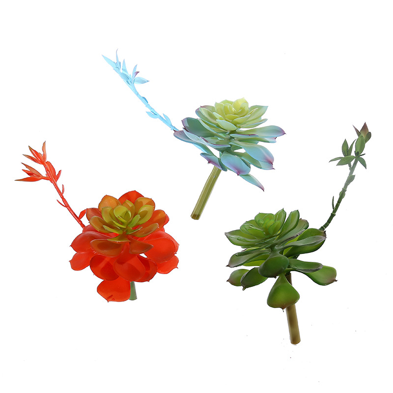 Wusmart Zhong Shi Lian Large A - огляд і ціна Succulent Arrangement Mini