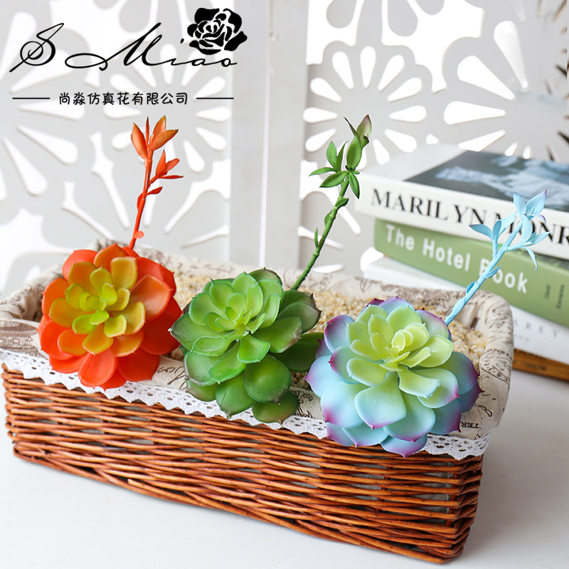 Wusmart Zhong Shi Lian Large A - огляд і ціна Succulent Arrangement Mini