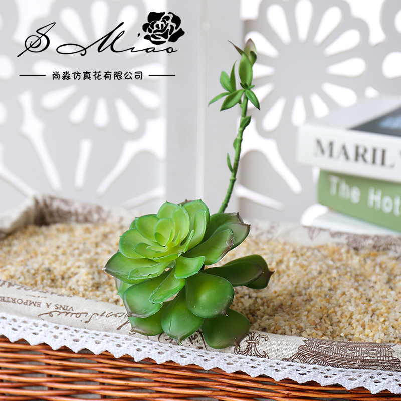 Wusmart Zhong Shi Lian Large A - огляд і ціна Succulent Arrangement Mini