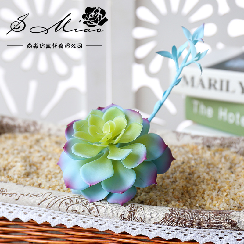 Wusmart Zhong Shi Lian Large A - огляд і ціна Succulent Arrangement Mini