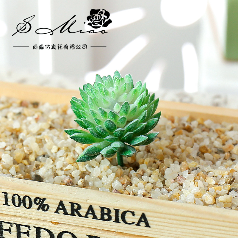 Wusmart Ji Wa Lian Artificial  - огляд і ціна Succulent Arrangement Mini