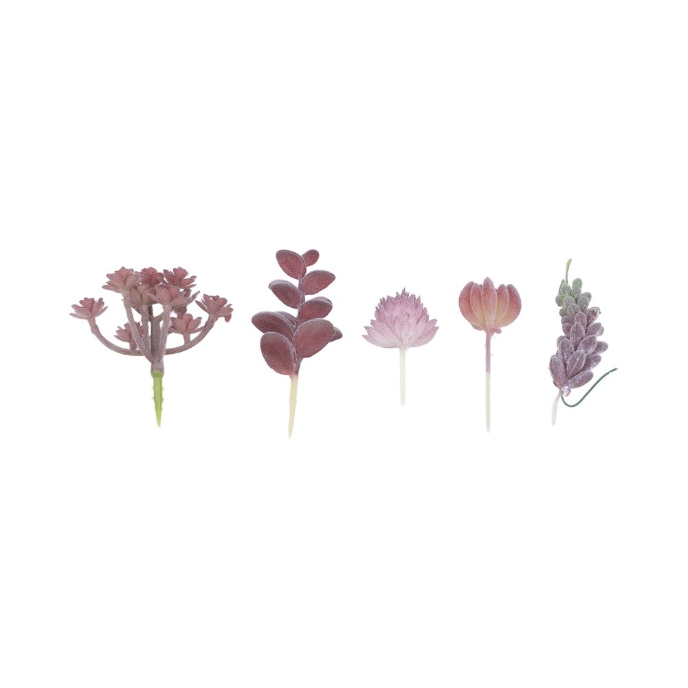 Contemporary For Mini Bonsai T - огляд і ціна Succulent Arrangement Mini