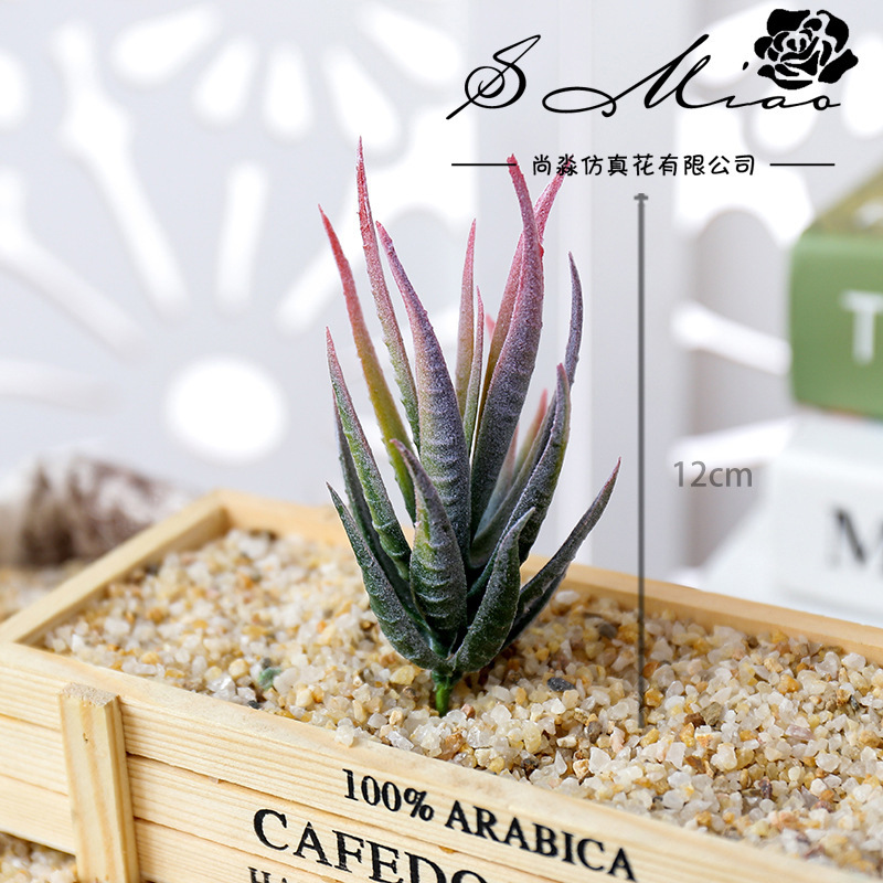 Wusmart Ban Ma Lu Hui Artifici - огляд і ціна Succulent Arrangement Mini