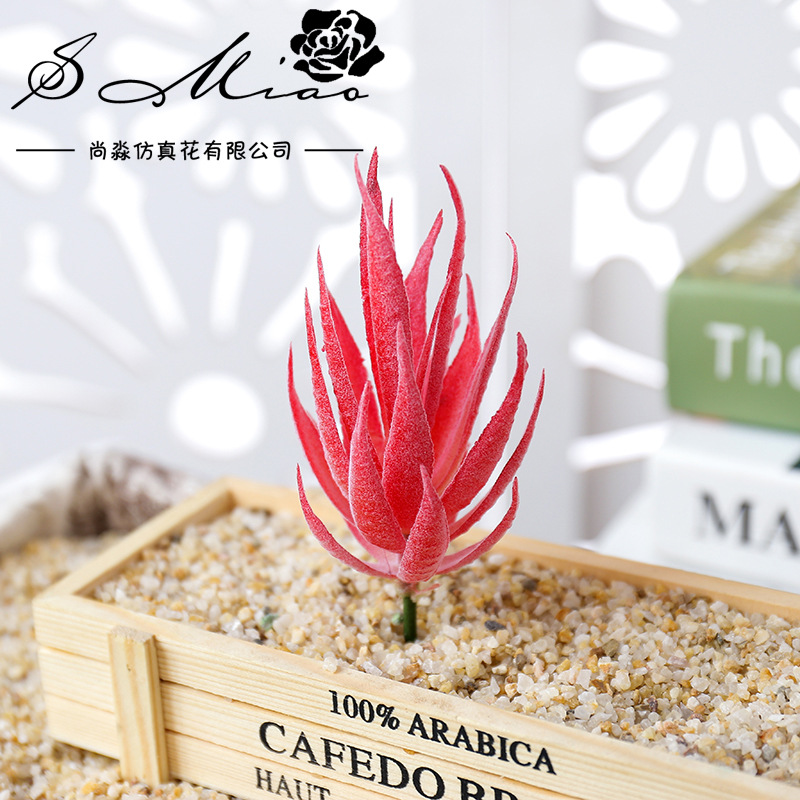 Wusmart Ban Ma Lu Hui Artifici - огляд і ціна Succulent Arrangement Mini