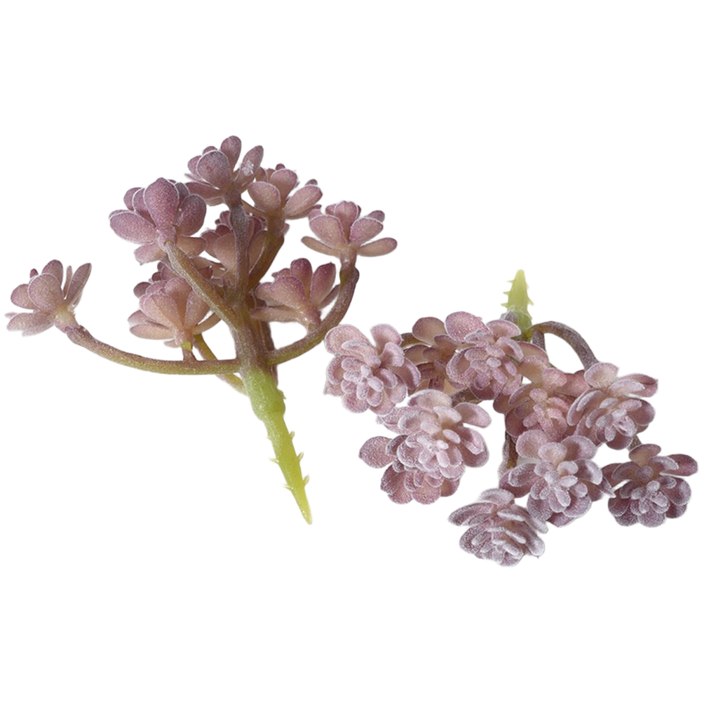 PVC Flocked Purple Fake Succul - огляд і ціна Succulent Arrangement Mini