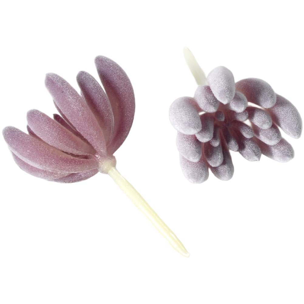 PVC Flocked Purple Fake Succul - огляд і ціна Succulent Arrangement Mini