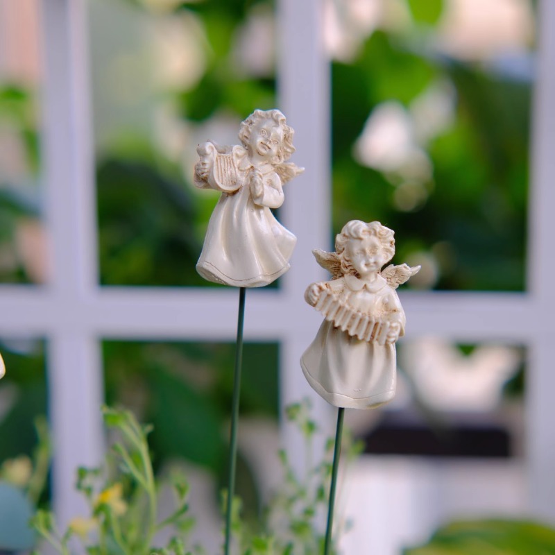 Angel Flower Arranger for Succ - огляд і ціна Succulent Arrangement Mini